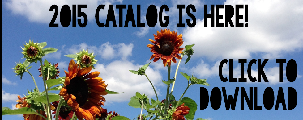 2015catalogishereDOWNLOAD